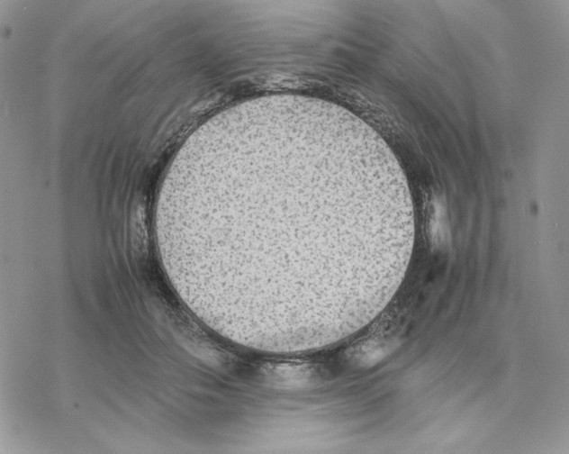 X0000077330506200611171811