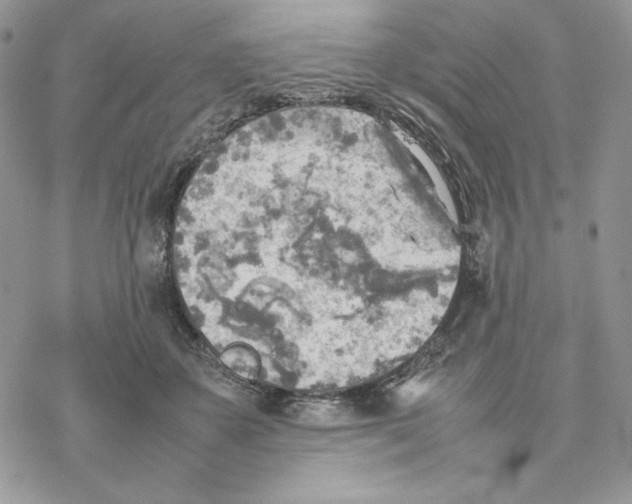 X0000077330507200611171811