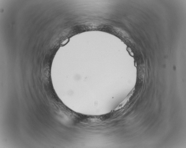 X0000077330509200611171811