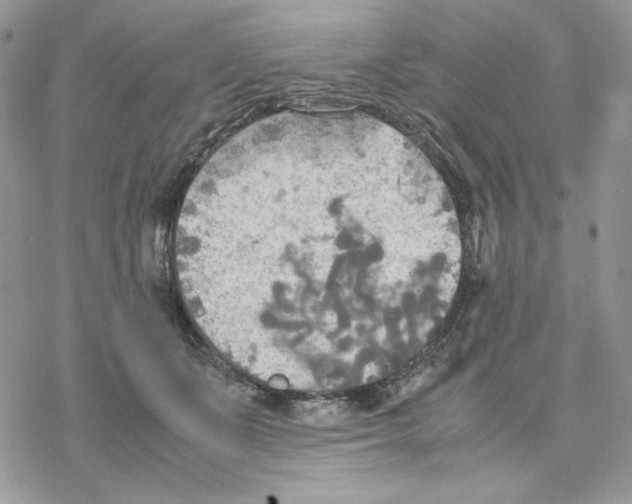 X0000077330511200611171811