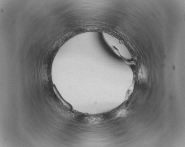 X0000077330512200611171811