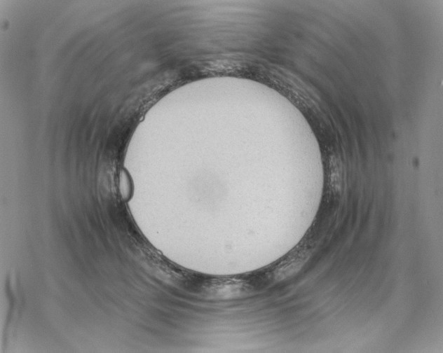 X0000077330514200611171811