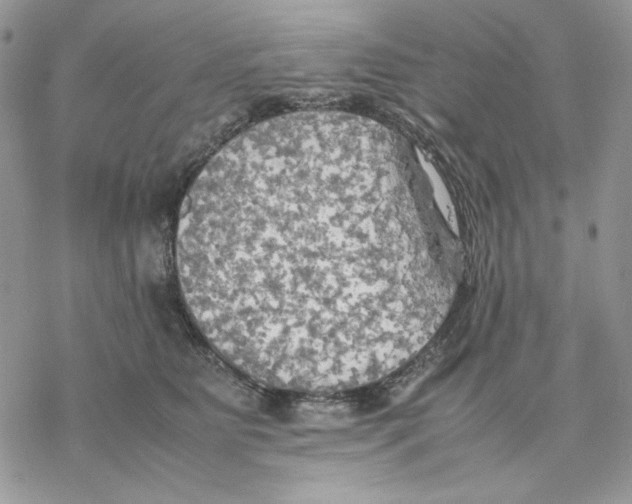 X0000077330515200611171811