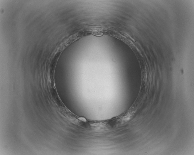 X0000077330516200611171811