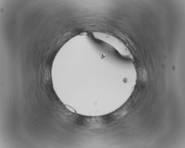 X0000077330517200611171811