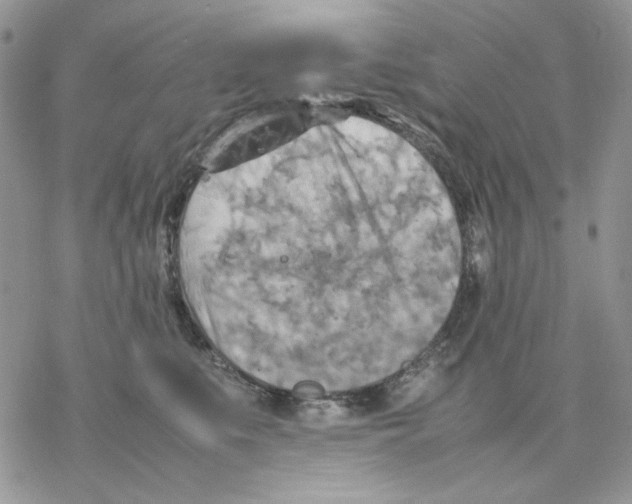 X0000077330519200611171811