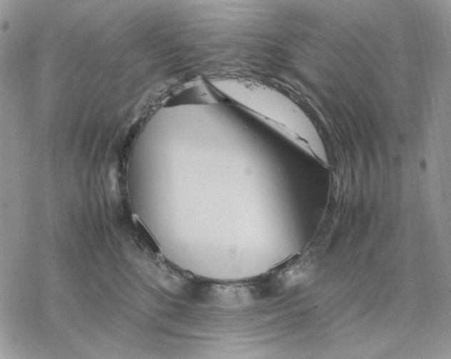 X0000077330520200611171810