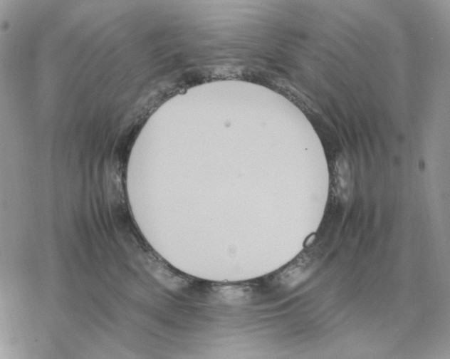 X0000077330522200611171810