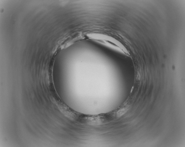 X0000077330524200611171810