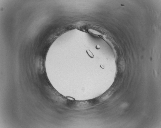 X0000077330525200611171810