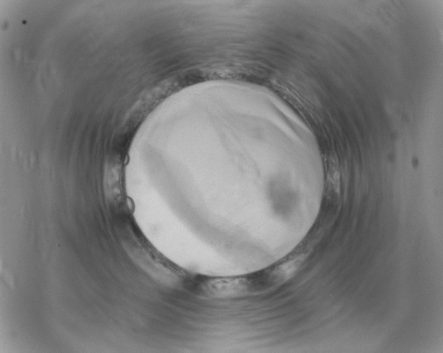 X0000077330526200611171810