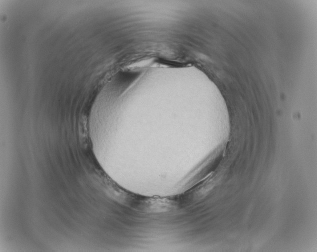 X0000077330528200611171810