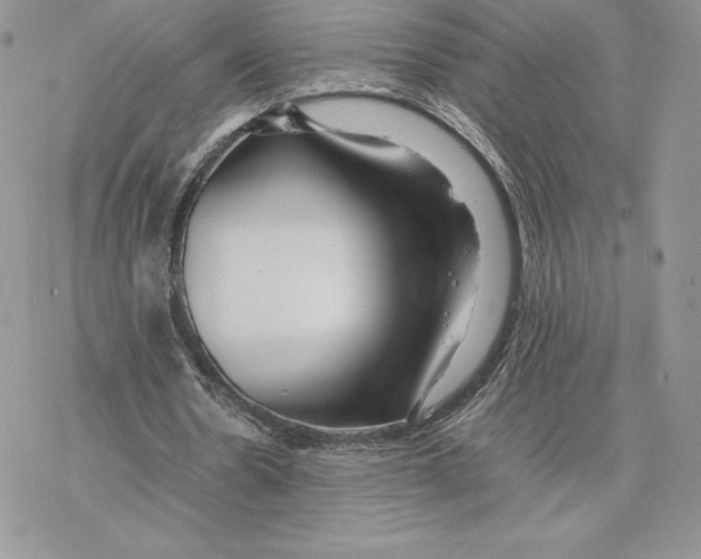 X0000077330530200611171810