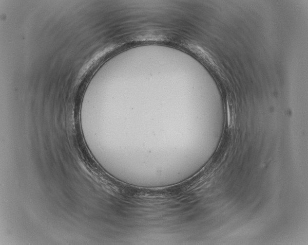 X0000077330531200611171810