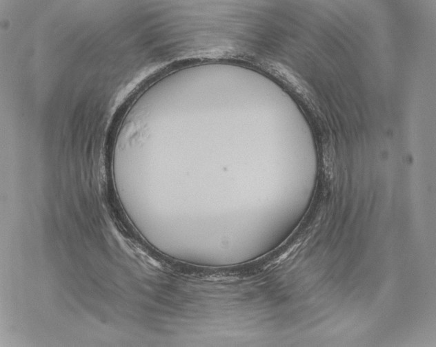 X0000077330532200611171810