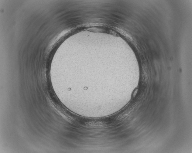 X0000077330535200611171810