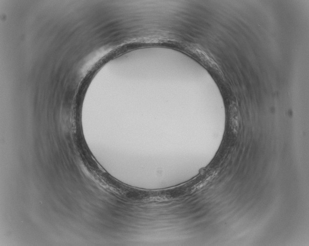 X0000077330536200611171810