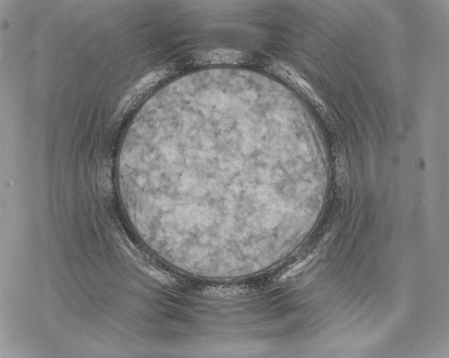 X0000077330537200611171810