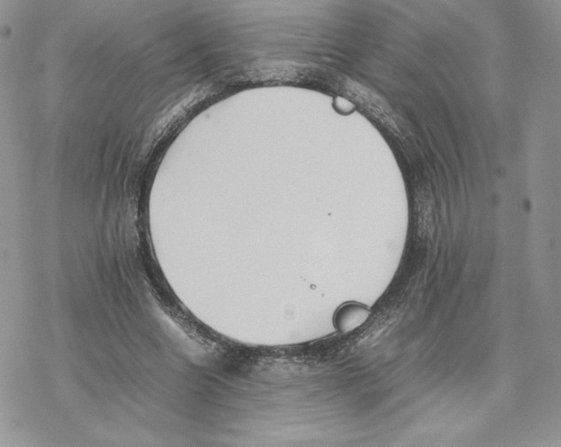 X0000077330538200611171810