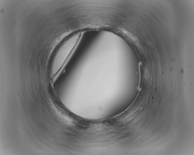 X0000077330540200611171810