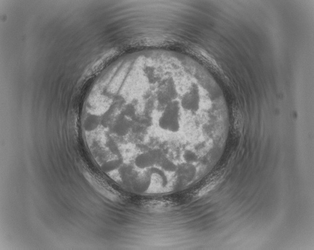 X0000077330542200611171810