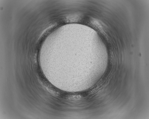 X0000077330543200611171810