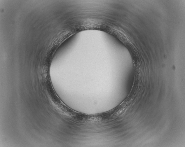 X0000077330546200611171810