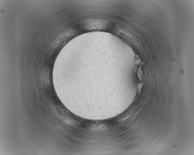 X0000077330547200611171810