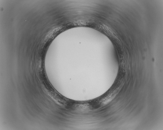 X0000077330548200611171810