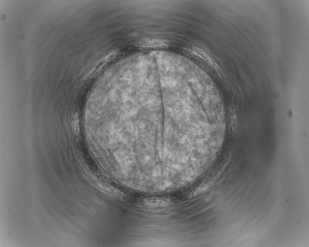 X0000077330549200611171810