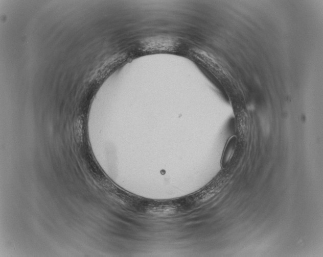 X0000077330551200611171810