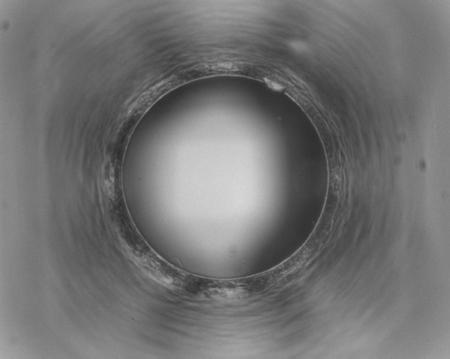 X0000077330552200611171810