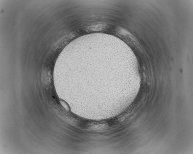 X0000077330555200611171810