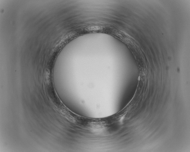 X0000077330556200611171810