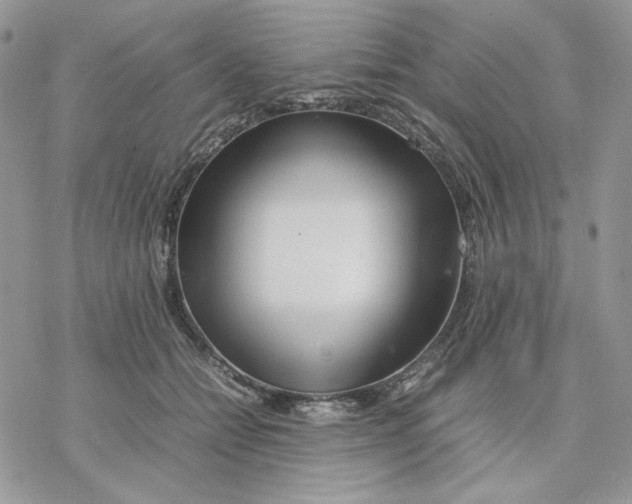 X0000077330558200611171810