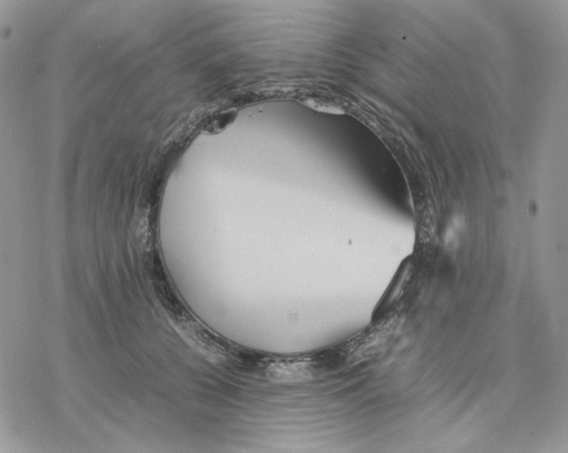 X0000077330560200611171810