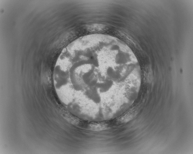 X0000077330561200611171810