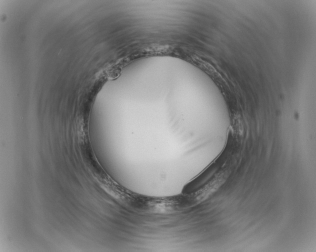 X0000077330564200611171810