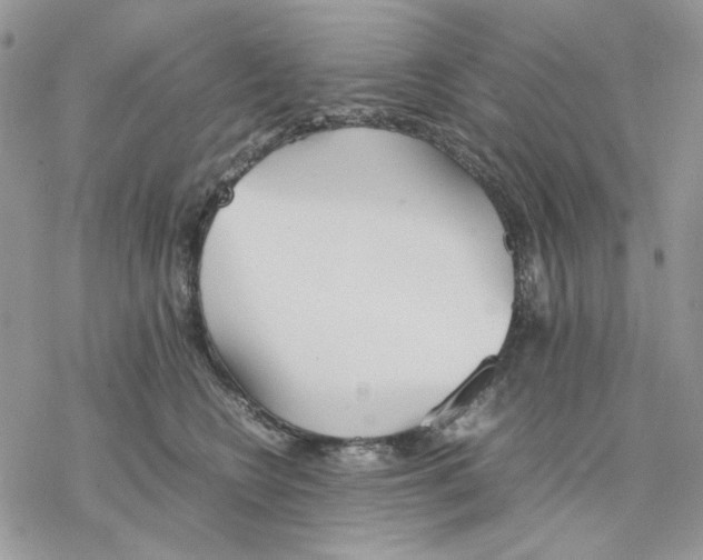 X0000077330566200611171810