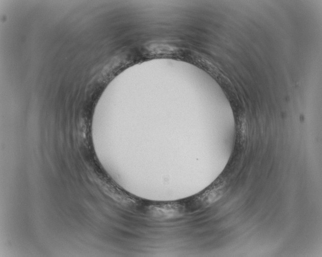 X0000077330567200611171810