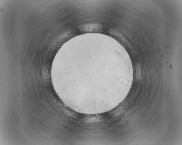 X0000077330569200611171810