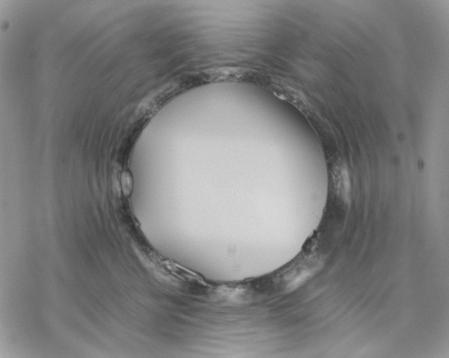 X0000077330570200611171810