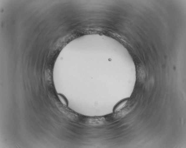 X0000077330571200611171810