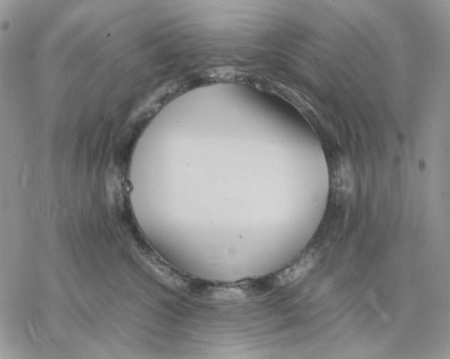 X0000077330572200611171810