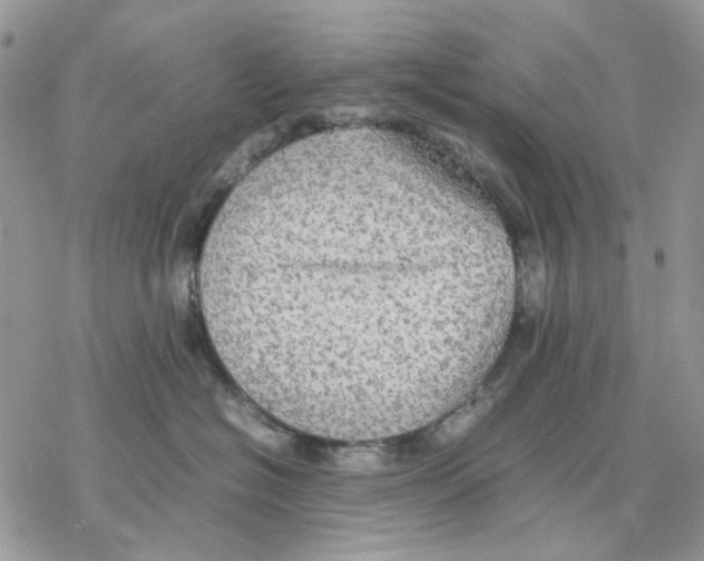 X0000077330574200611171810