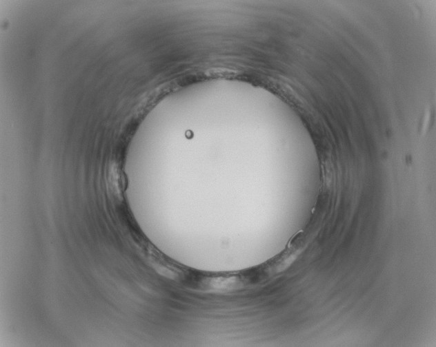 X0000077330575200611171810