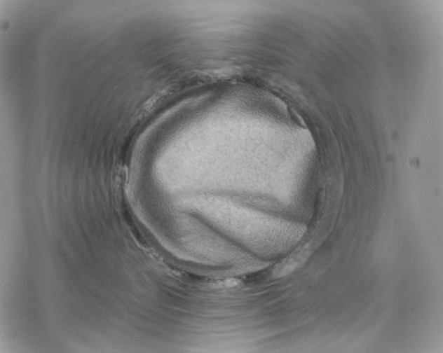 X0000077330576200611171810