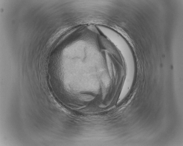 X0000077330577200611171810