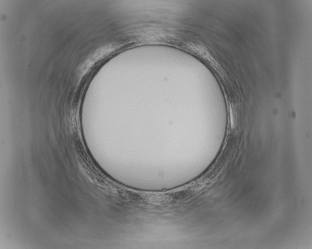 X0000077330579200611171810