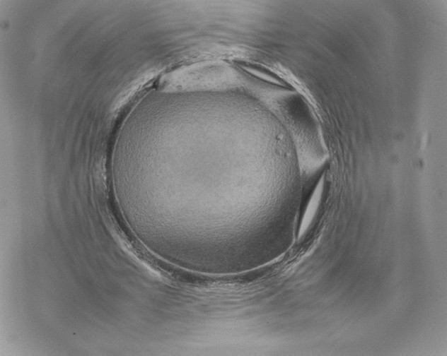 X0000077330581200611171809